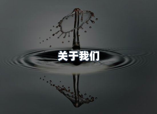 关于我们